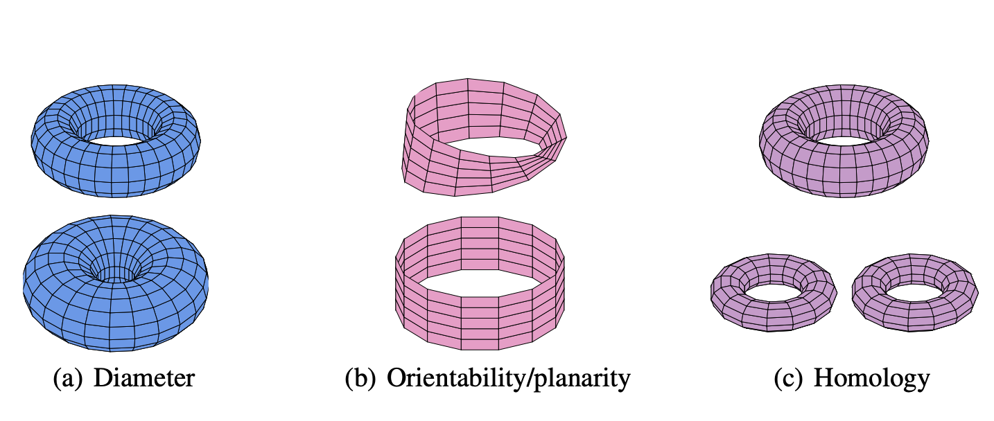 Topological Blindspots paper figure on expressivity in topological deep learning.